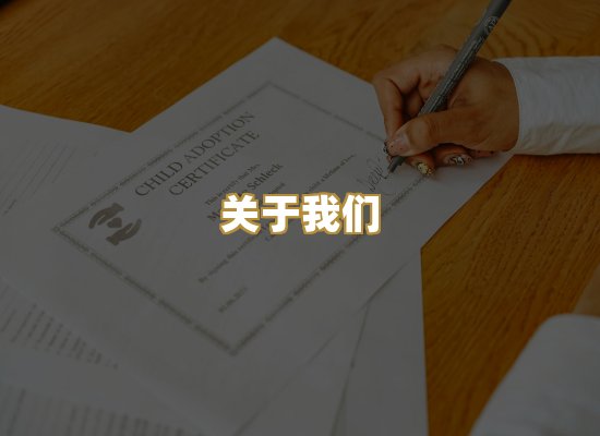 关于我们